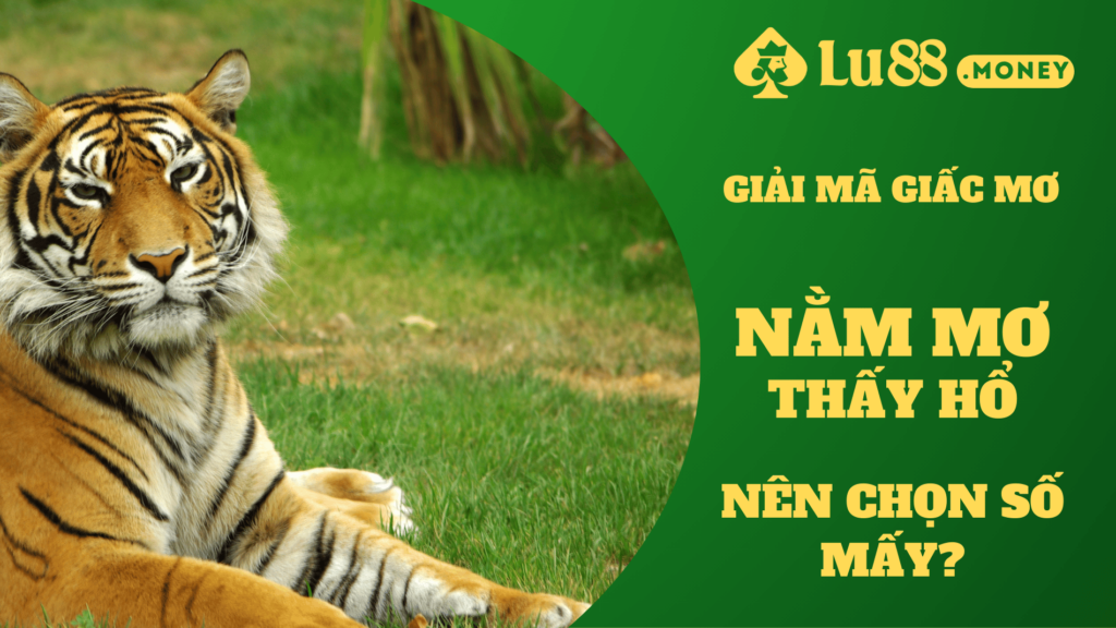 nam mo thay ho lu88.money