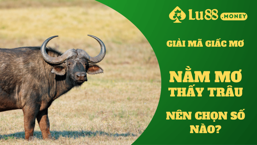 nam mo thay trau lu88.money