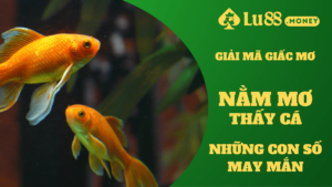 nam mo thay ca lu88.money