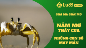 nam mo thay cua lu88.money
