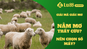 nam mo thay cuu lu88.money