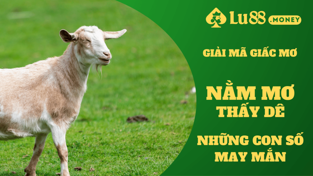nam mo thay de lu88.money