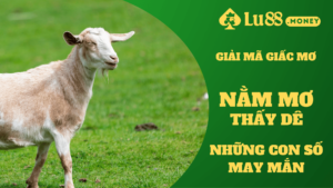 nam mo thay de lu88.money