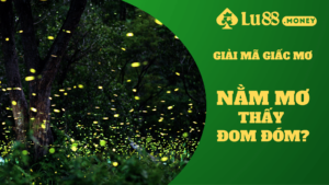 nam mo thay dom dom lu88.money