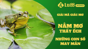 nam mo thay ech lu88.money