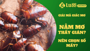 nam mo thay gian lu88.money