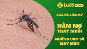 nam mo thay muoi lu88.money