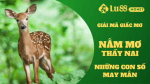 nam mo thay nai lu88.money