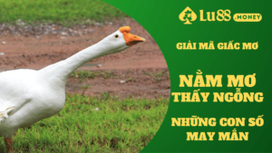 nam mo thay ngong lu88.money