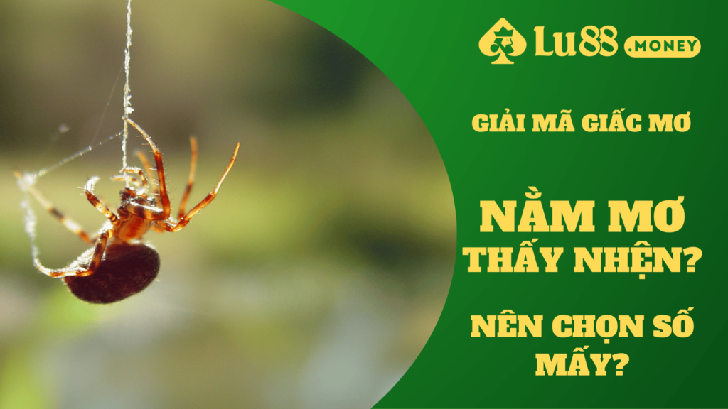 nam mo thay nhen lu88.money