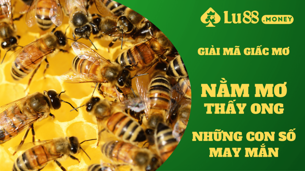 nam mo thay ong lu88.money