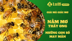 nam mo thay ong lu88.money