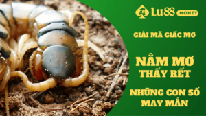 nam mo thay ret lu88.money