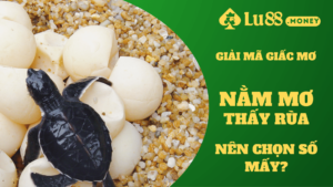 nam mo thay rua lu88.money
