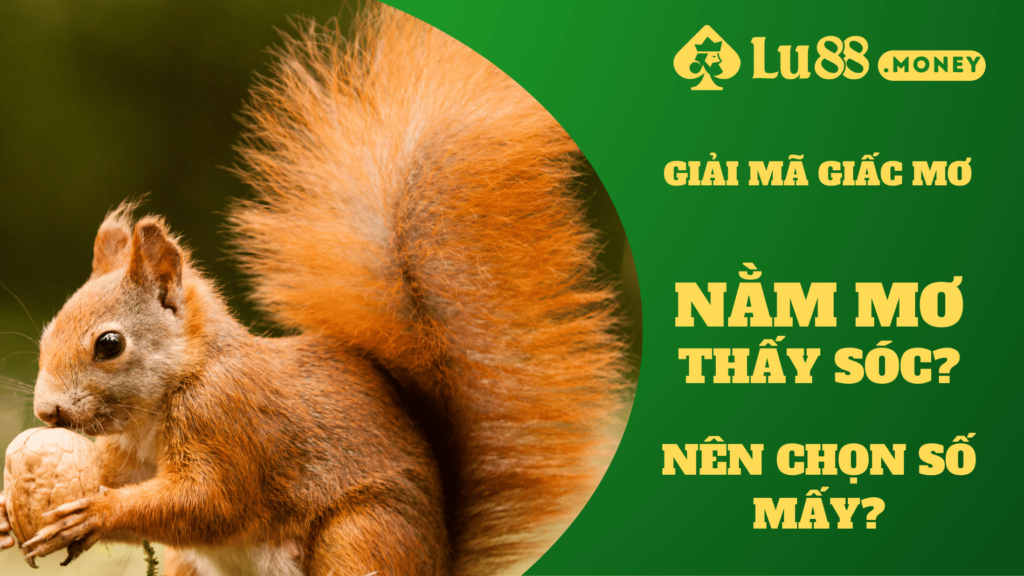 nam mo thay soc lu88.money