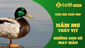 nam mo thay vit lu88.money