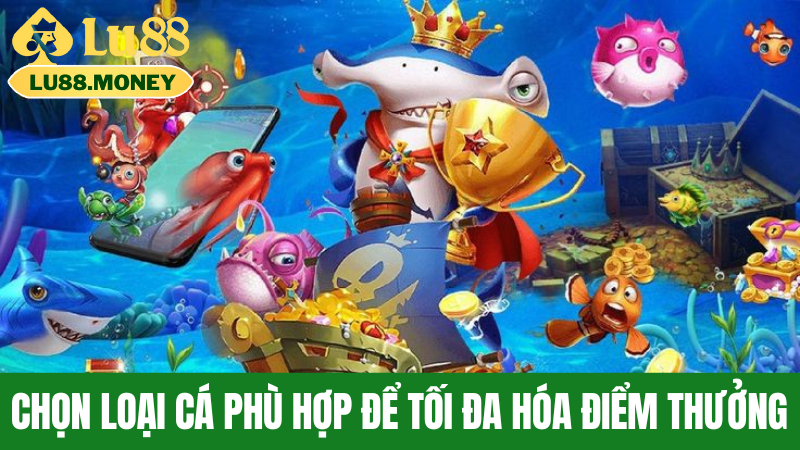 Chọn loại cá phù hợp để tối đa hóa điểm thưởng